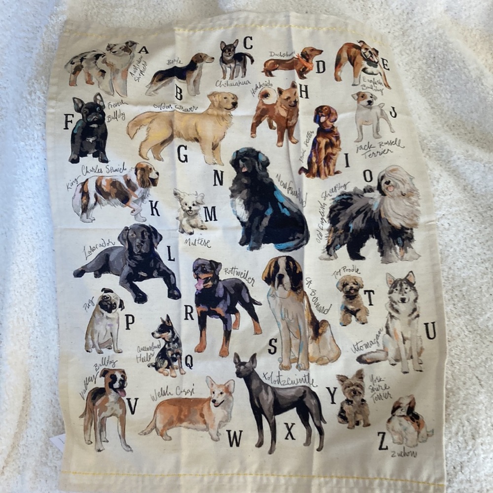 Towel✨from💕Anthropologie💕 Dish towel - Picture 3 of 14